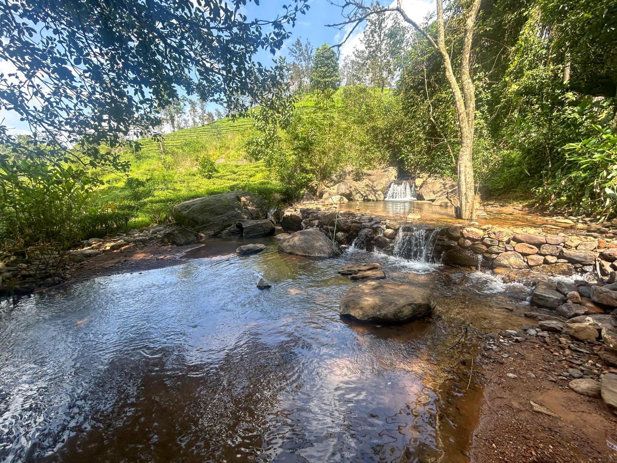 Flora Vythiri Resort מראה חיצוני תמונה