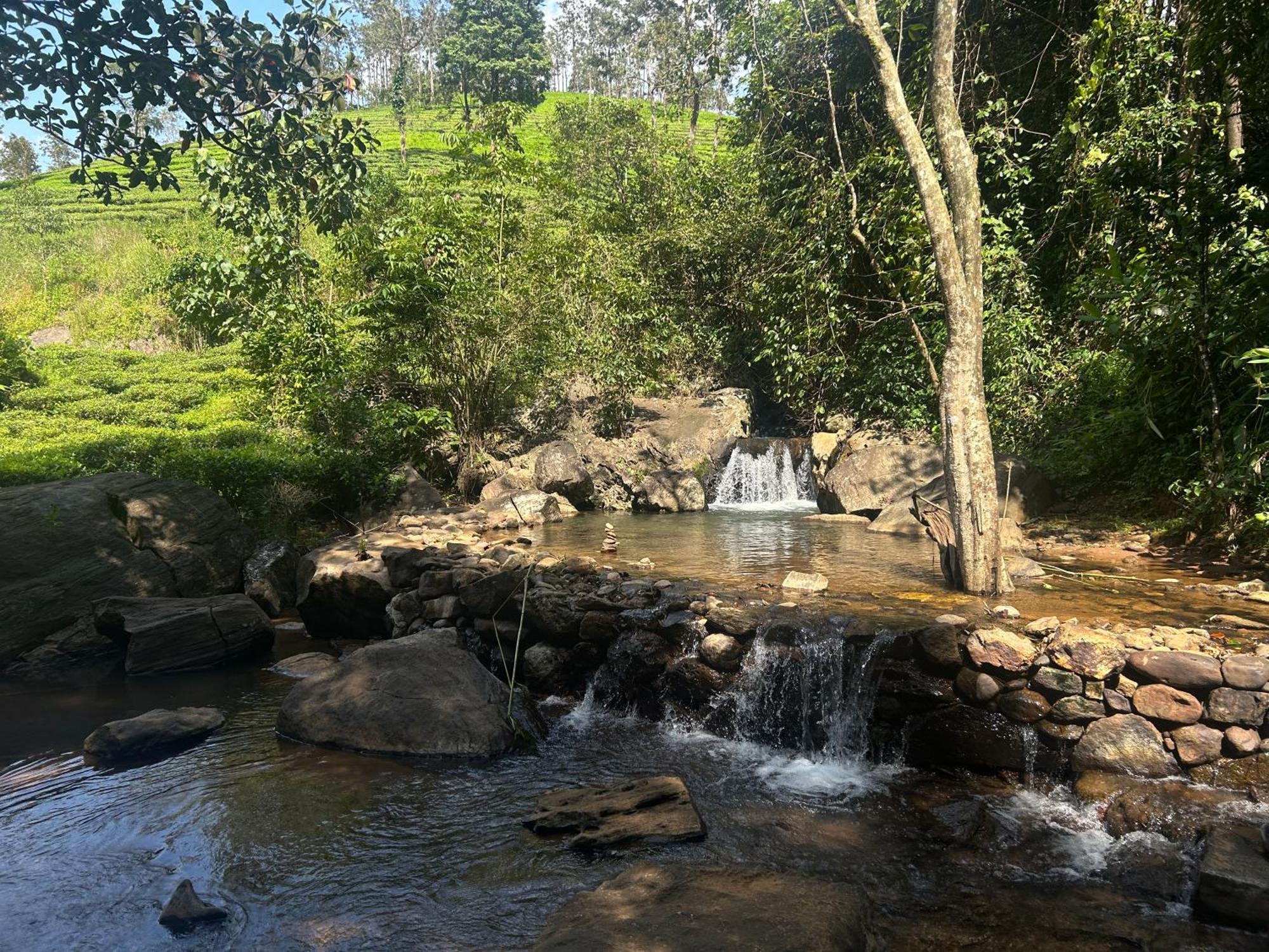 Flora Vythiri Resort מראה חיצוני תמונה
