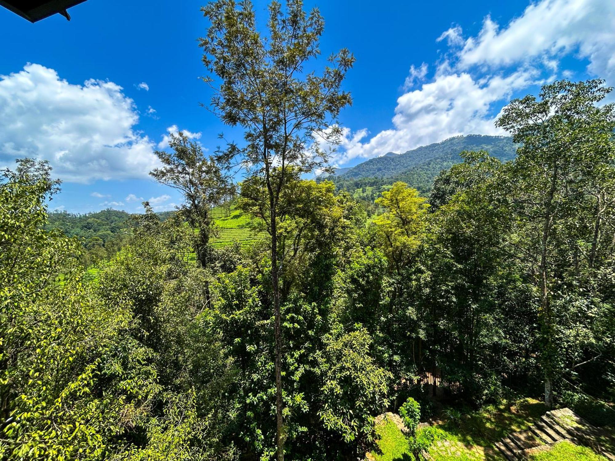 Flora Vythiri Resort מראה חיצוני תמונה